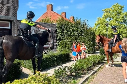 Politiepaard